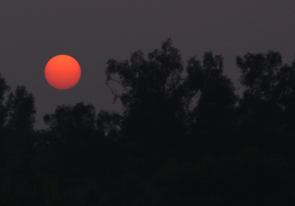 sunset-sundarbans