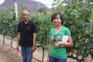 GranMonte-Vineyard-Manager