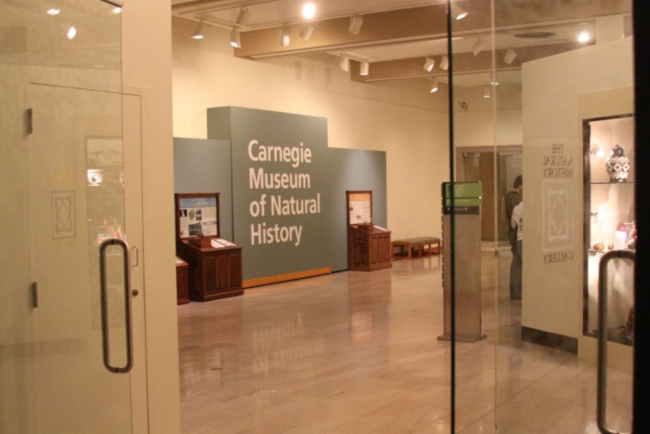 Carnegie Museum of Natural History