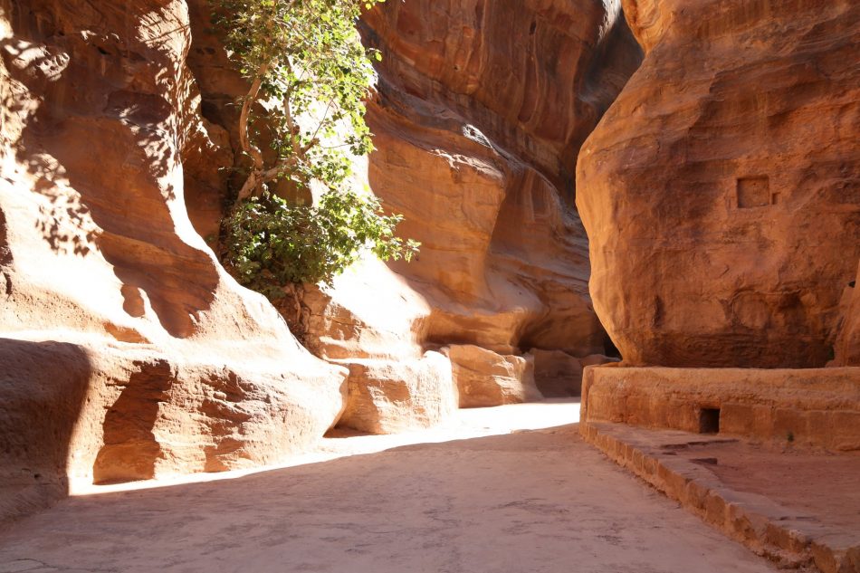 Petra-Jordan (4)