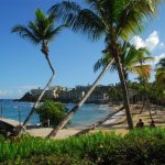 bolongo bay, trees, beach