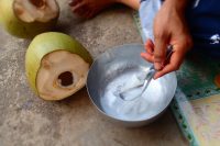 preparing coconut thailand