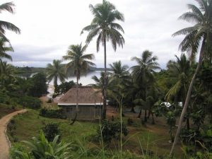 Bay of Plenty 