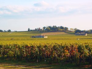 st-emilion-france (2)