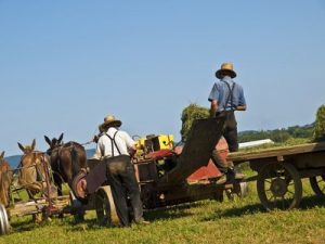 amish