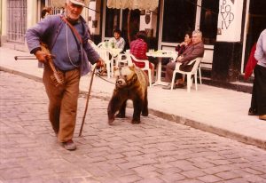 bear-balkans