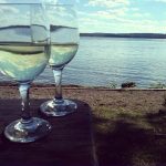 fingerlakes wineries