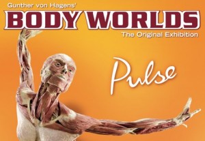 body-world