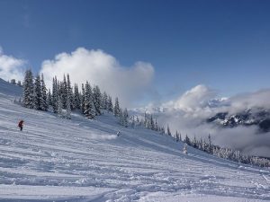 Carving-whistler