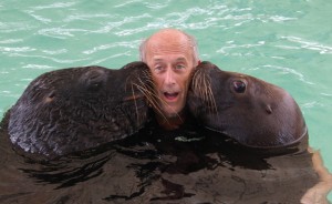 sea lions