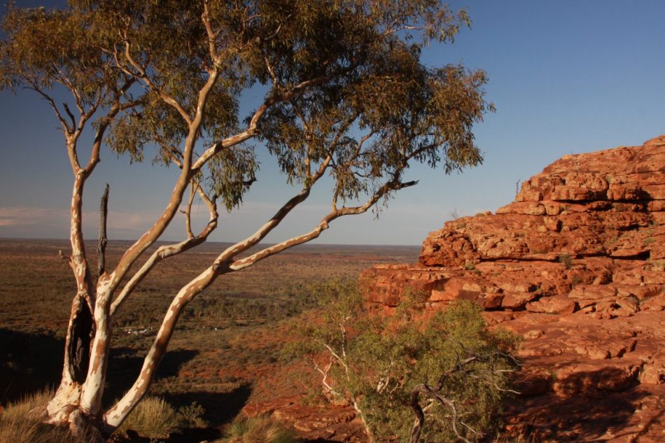 Notes From The Great Australian Outback Northern Territory Daves