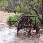 Old wagon near the Barossa Goldfields