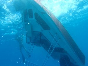 great-barrier-reef-capsizing (3)