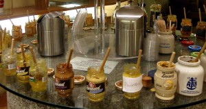 Mustard Tasting