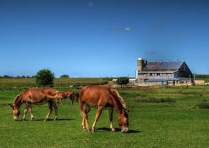 Pennsylvania-Dutch -Country