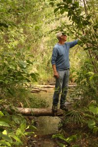 Pascal foraging in a riparian zone