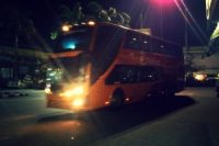 Night bus