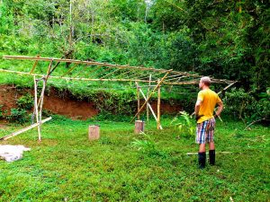 Bamboo Shelter