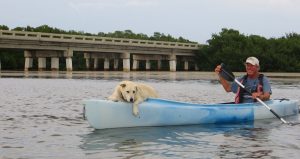 Kayak-dog