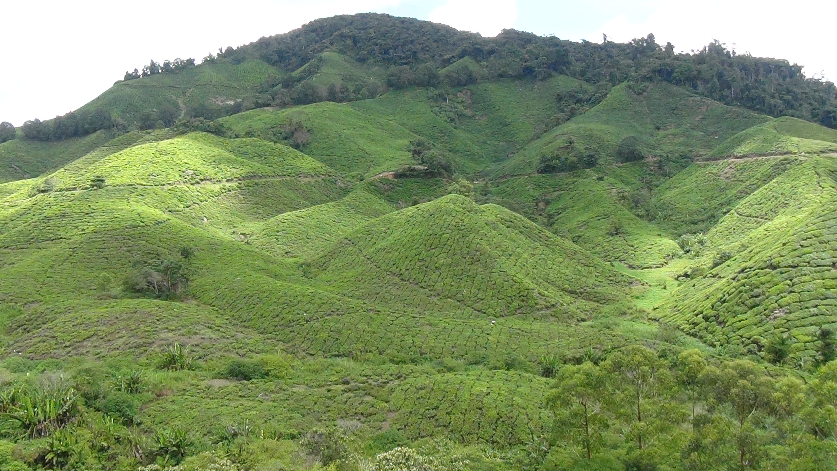 The land of the rolling hills - Dave's Travel Corner