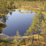 bog-lake-adventures (1)