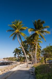 martinique