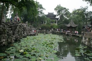 Lion grove Garden