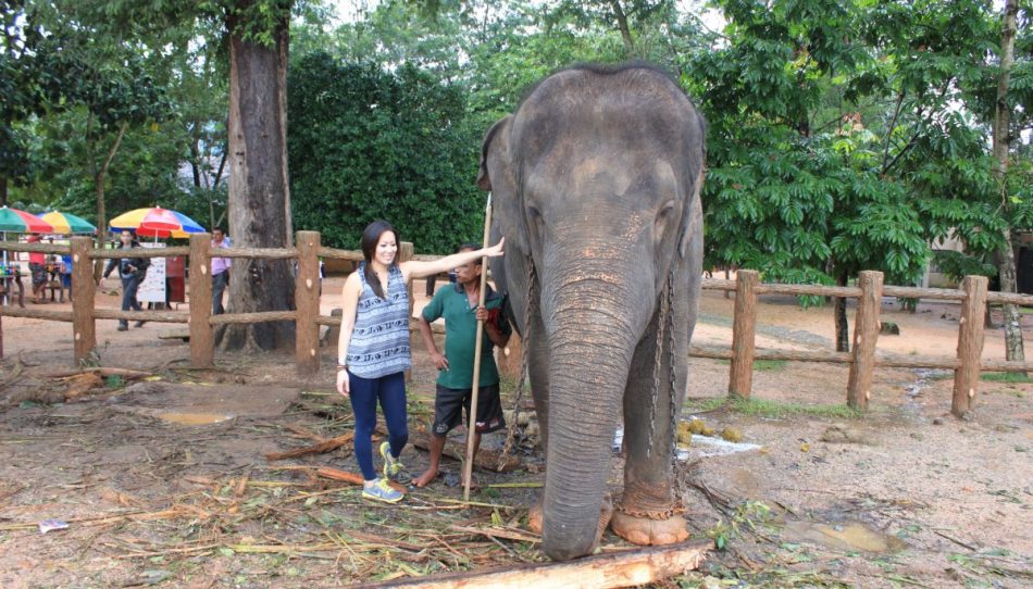 Pinnawala-Elephant-Orphanage (9)