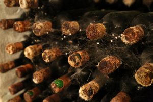 Mold is common on the wine bottles that age in the wine caves for many years