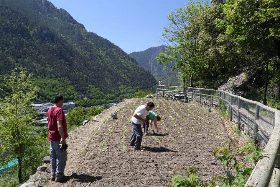 Cami-de-la-Curruba-Andorra (5)