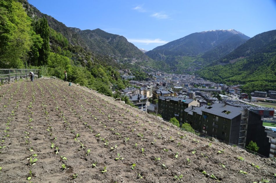 Cami-de-la-Curruba-Andorra (6)