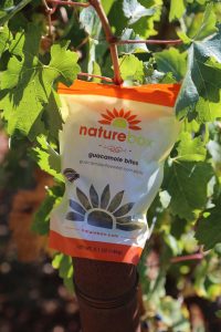 naturebox-napa-vineyard (3)