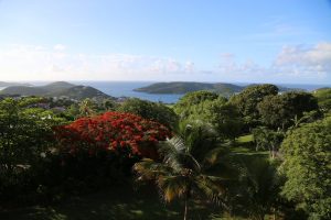 USVI-St-Thomas (3)