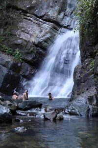 puerto-rico-el-yunque (7)