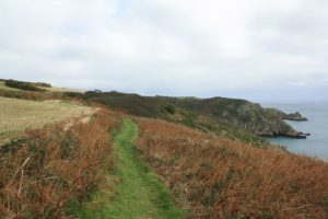 Sark