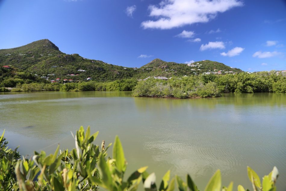 st-barths-caribbean (10)