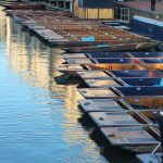 Cambridge Punting Tour