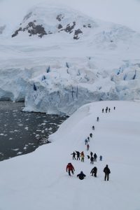 antarctica (4)