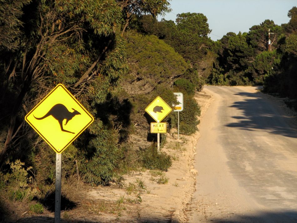 Australian Wildlife Road Signs