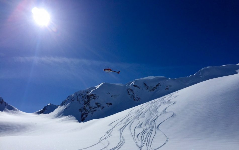 The bird coming in for a landing over the epic pow in the Chuggach Mountains