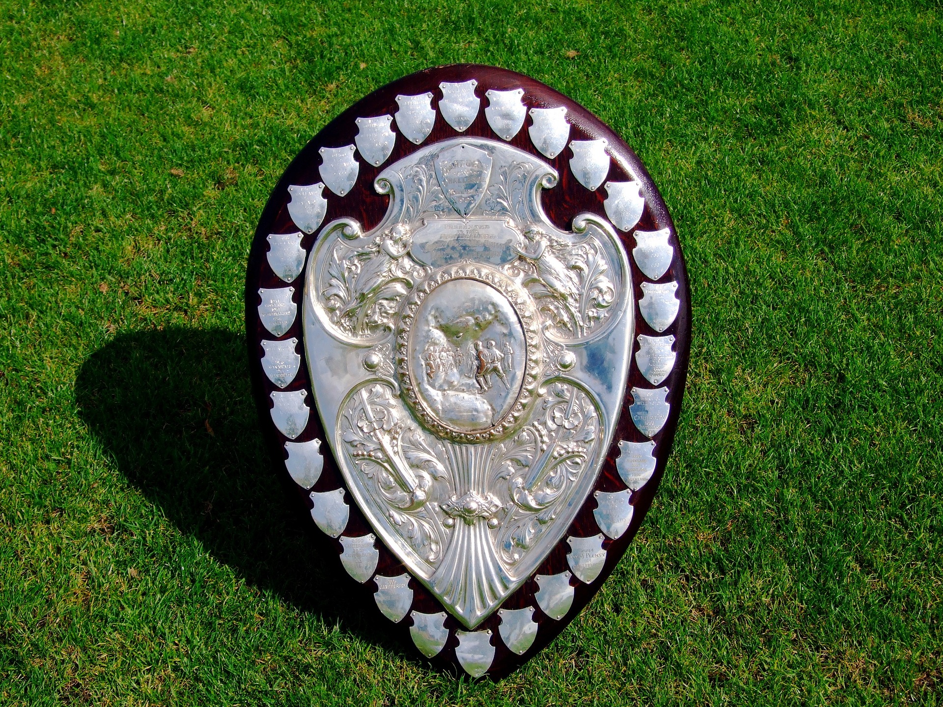 Ranfurly Shield