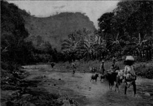 Horace Dade Ashton Travel to Haiti