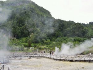 azores-jungle