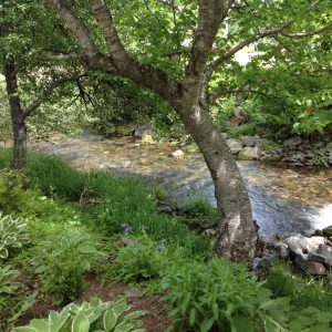 Cape Breton - Glenora Inn and Distillery - the grounds 6