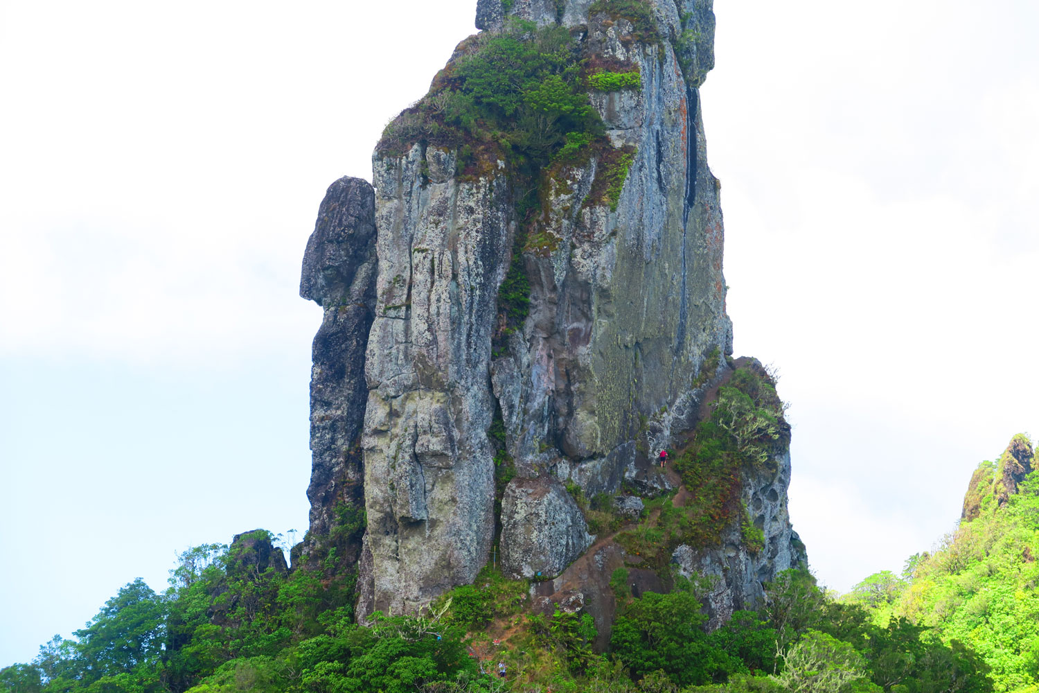 [RAROTONGA]-The-Needle