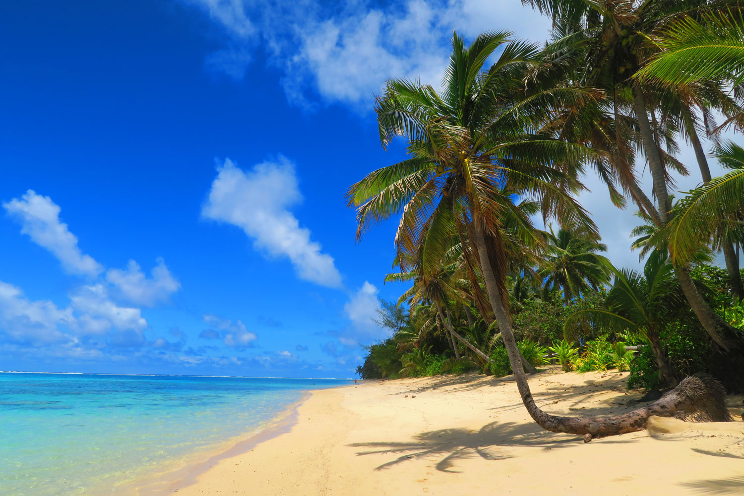 [RAROTONGA]-Titikaveka-Beach