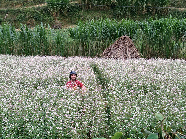 joaquim in flowers