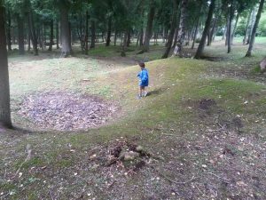 Remnants of Fleury, one of nine lost villages of Verdun. The village disappears in  a mass of bomb craters. 