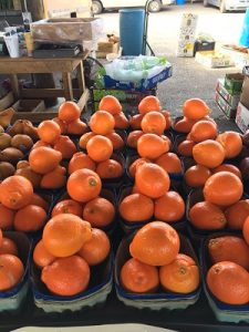Juicy Sweet Florida Oranges