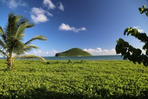 st-lucia-helicopter-1